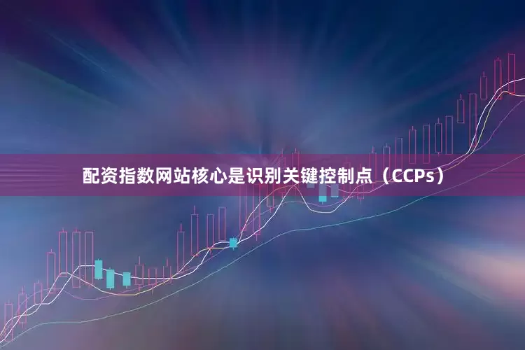 配资指数网站核心是识别关键控制点（CCPs）