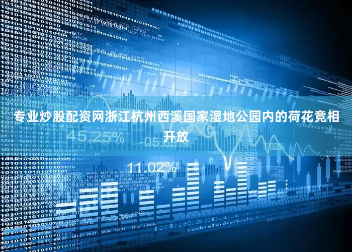 专业炒股配资网浙江杭州西溪国家湿地公园内的荷花竞相开放