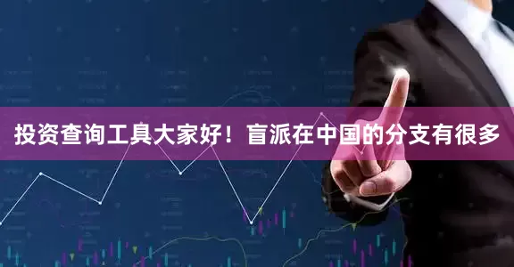 投资查询工具大家好！盲派在中国的分支有很多