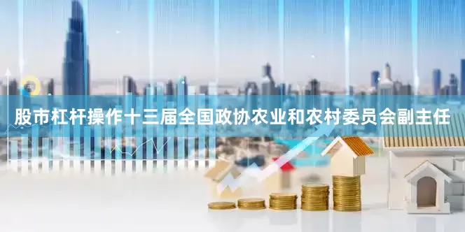 股市杠杆操作十三届全国政协农业和农村委员会副主任